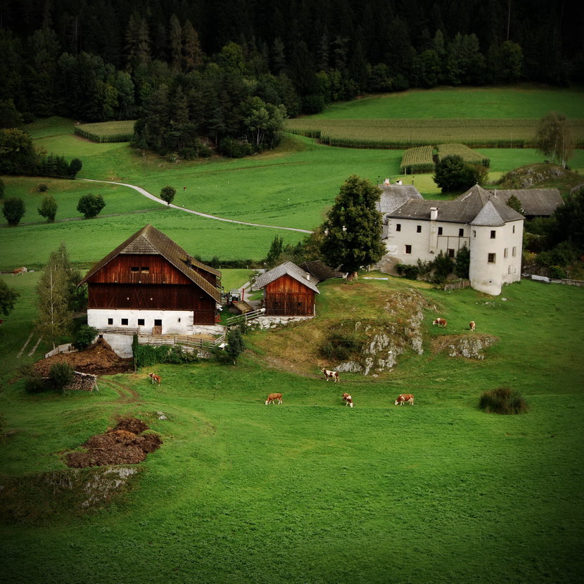 schön und grün