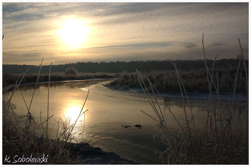 narew