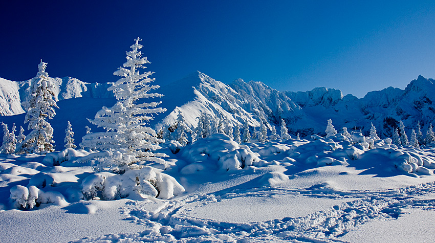 tatry