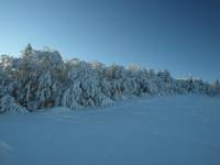 Łabowska hala 1064m n.p.m.