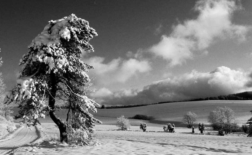 Bieszczady