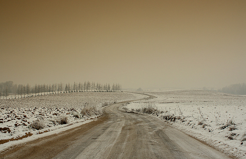 pejzażyk