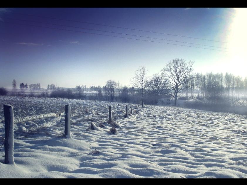 Winter Landscape