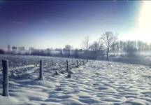 Winter Landscape