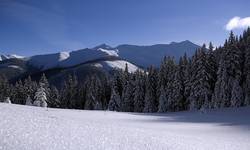 Tatry, grudzien 2008, widok spod Bobrowca