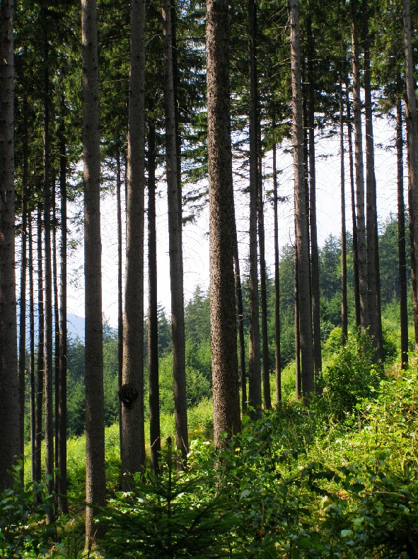 Beskid Śląsko-Morawski