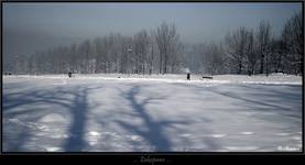 Zakopane 2008/2009