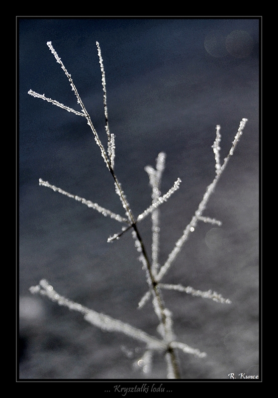 Zakopane 2008/2009