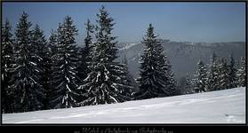 Zakopane 2008/2009