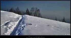 Zakopane 2008/2009