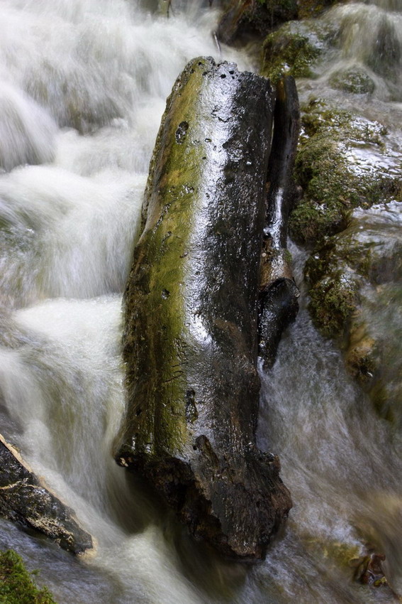 Plitvička jezera