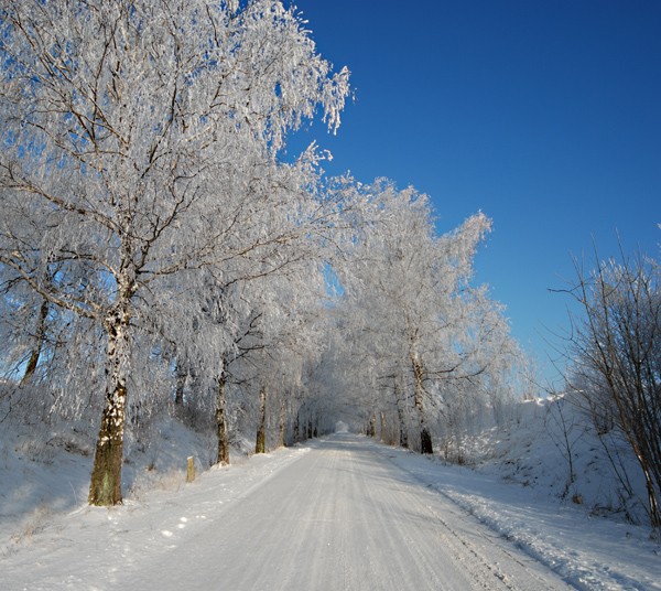 Bąków - Biadacz