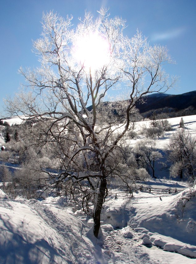 Bieszczady 2008