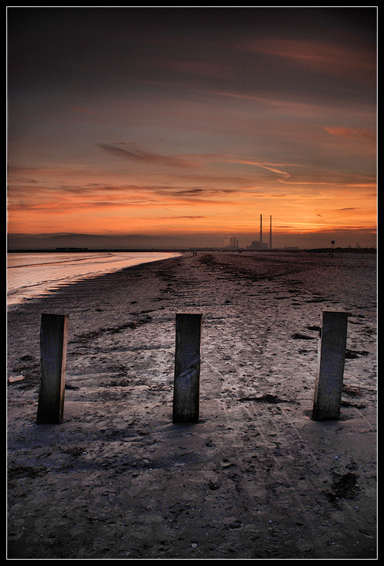 Bull Island