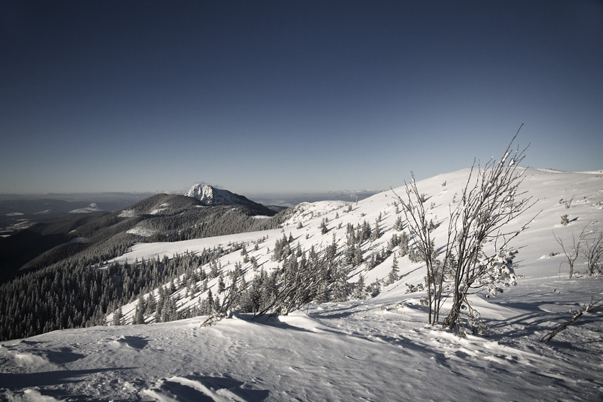 Zimne Tatry