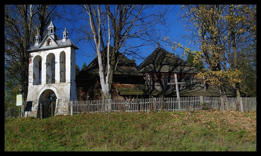 LISKOWATE  (Pogórze Przemyskie)