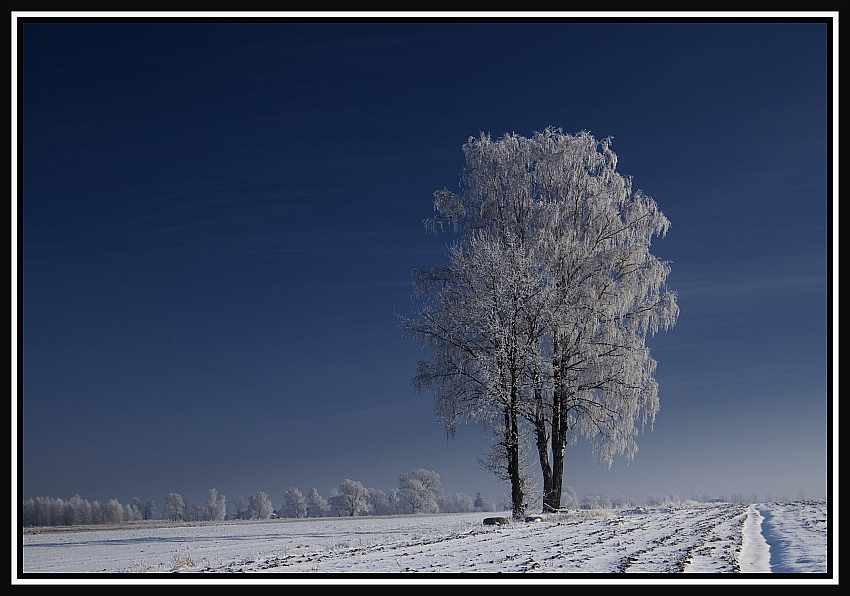 Podlaskie plenery