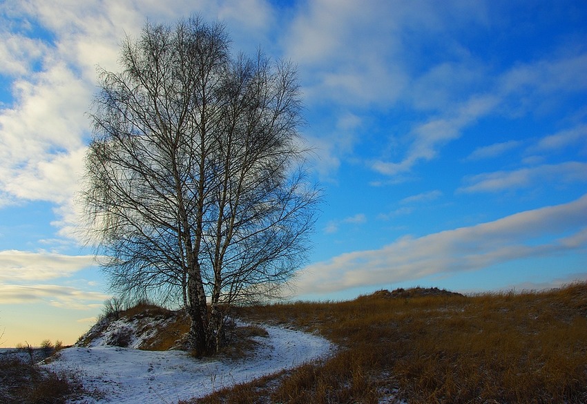 styczeń2009