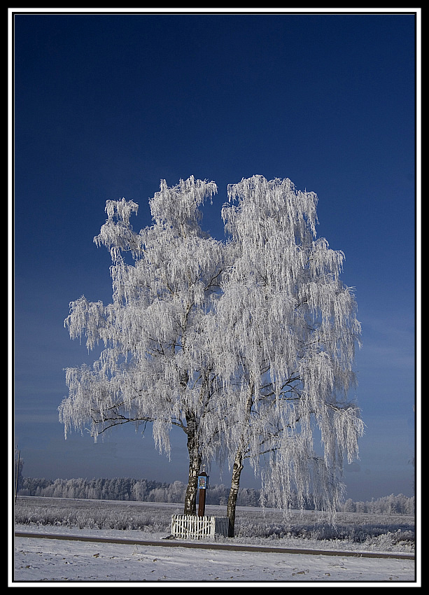 Podlaskie plenery