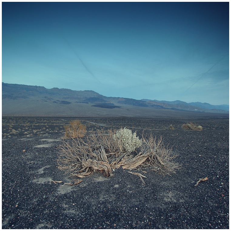 Death Valley