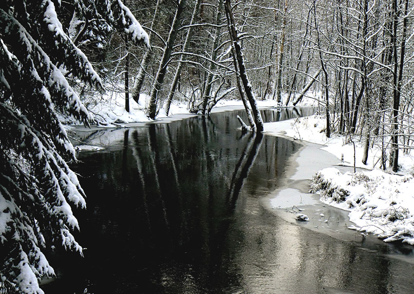 Śnieżnie