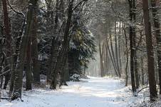 Park Nationale De Hoge Veluwe