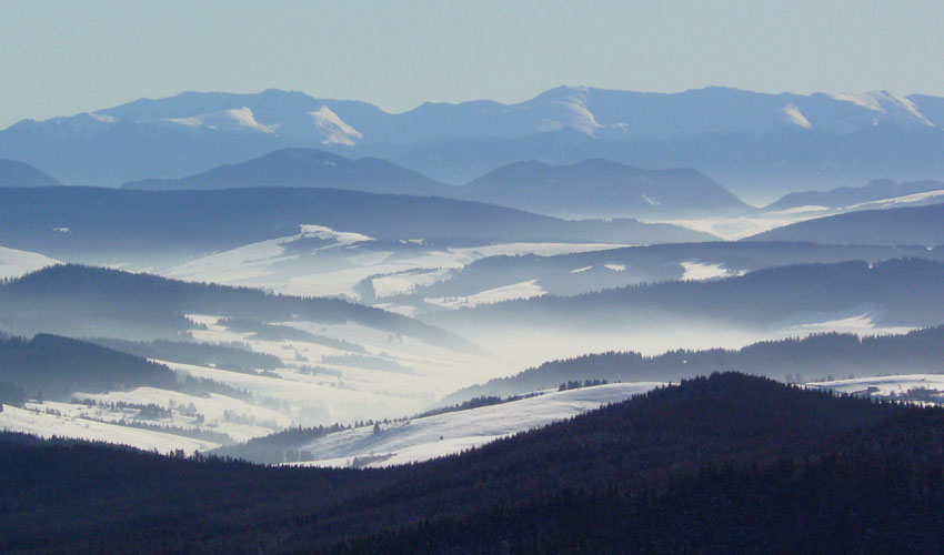 widok z Lipowskiej