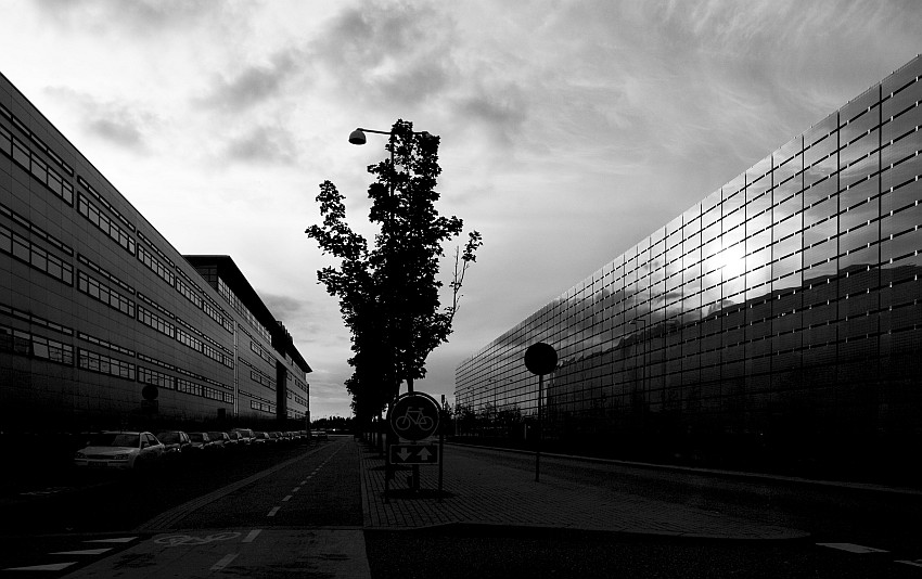 steel, glass & trees