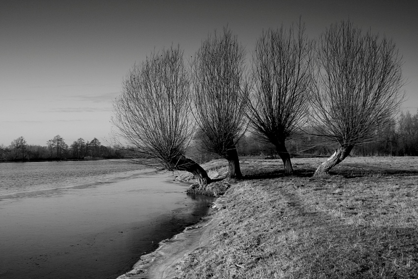 Żuławskie klimaty 2