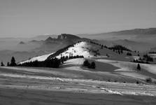 Pieniny