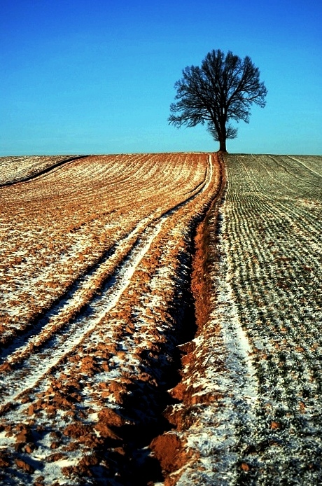 Czekając na śnieg