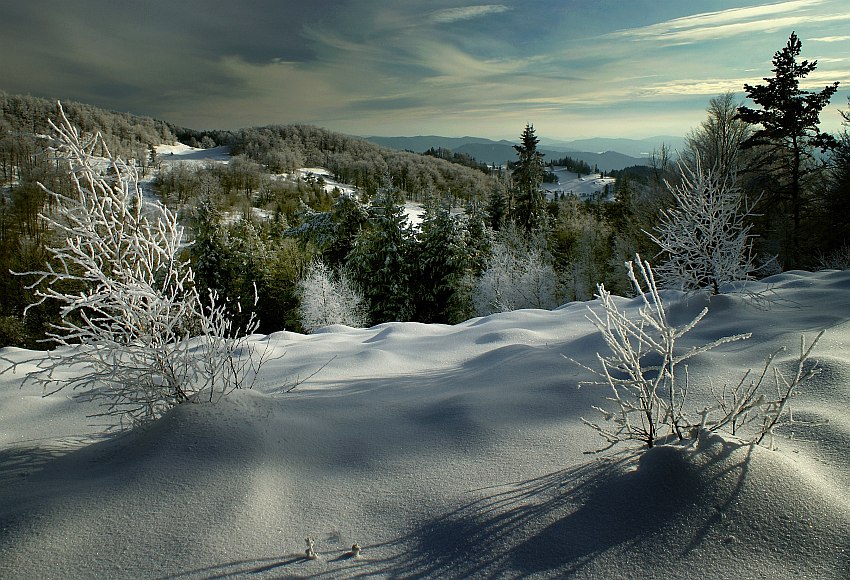 beskidzkie klimaty