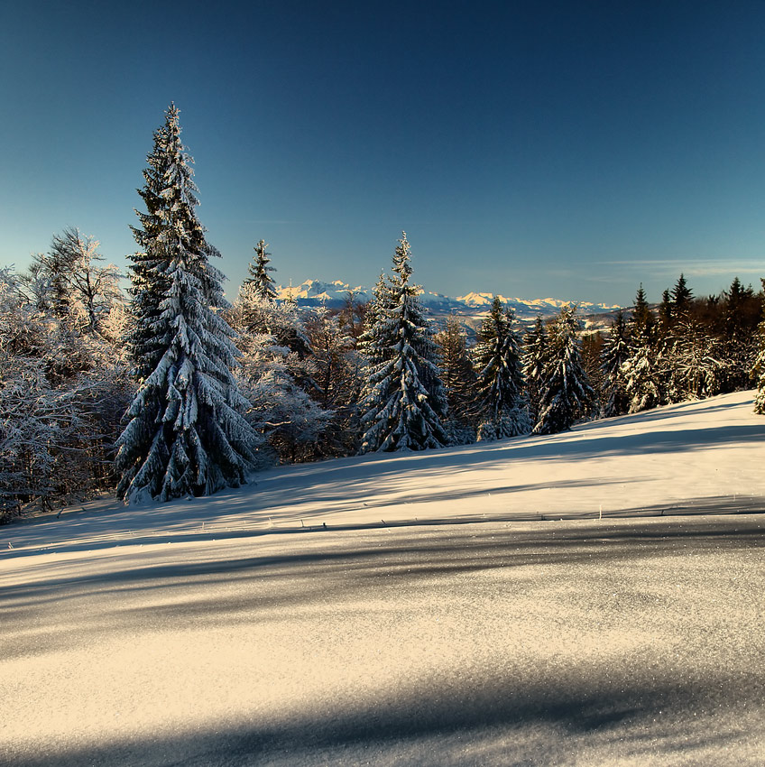 na Tatry...