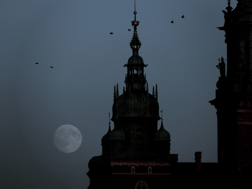 wawel nocą