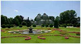 Schloss Schonbrunn - Oranżeria wiosną 2008