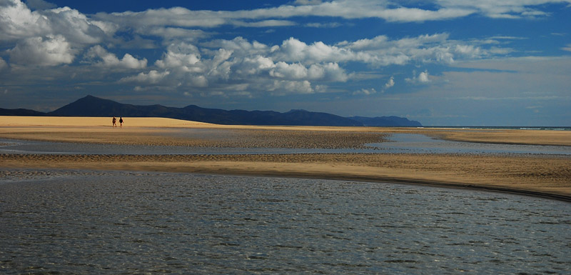 Playa de Sotavento