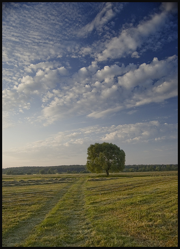 Podlaskie plenery