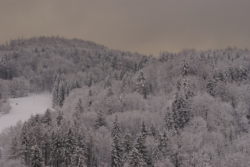 Beskid