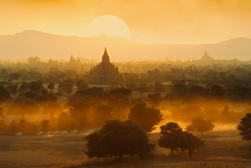 Gold of Bagan