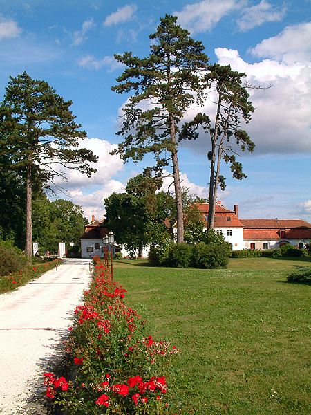 Krasków - lato 2008