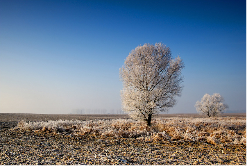 Zimowe klimaty