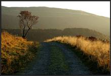 Bieszczady