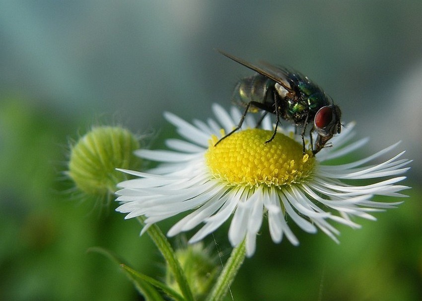 Foto Artur Ziemba