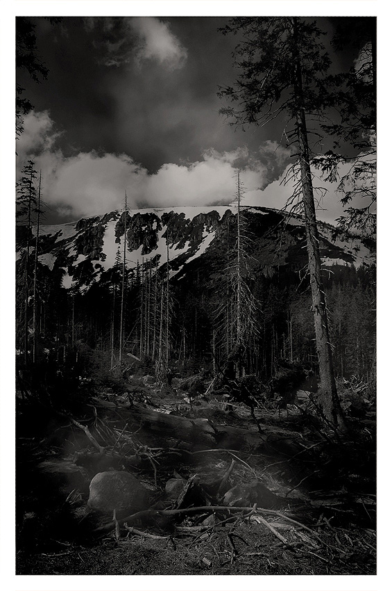 tatry moje własne