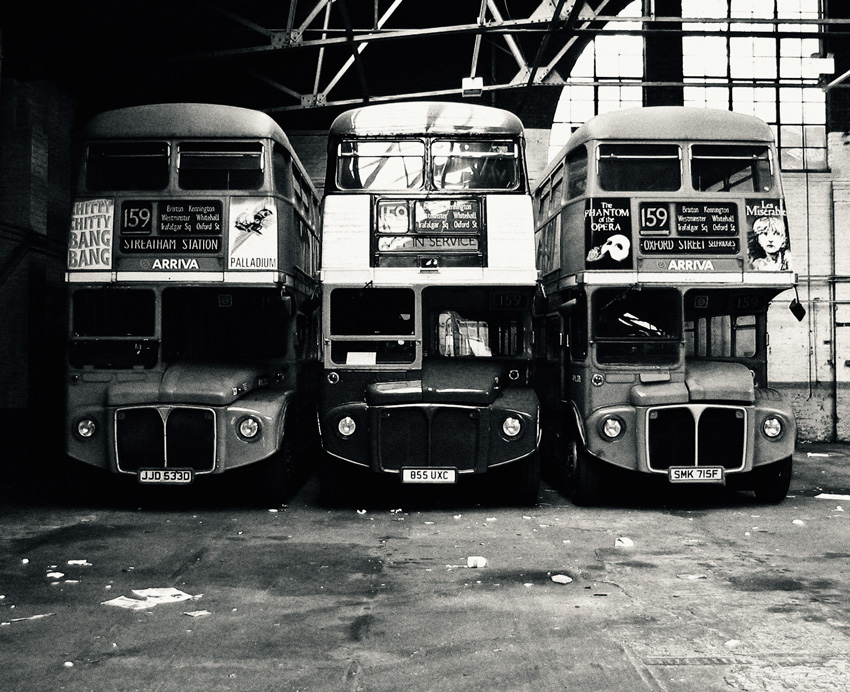 Buses