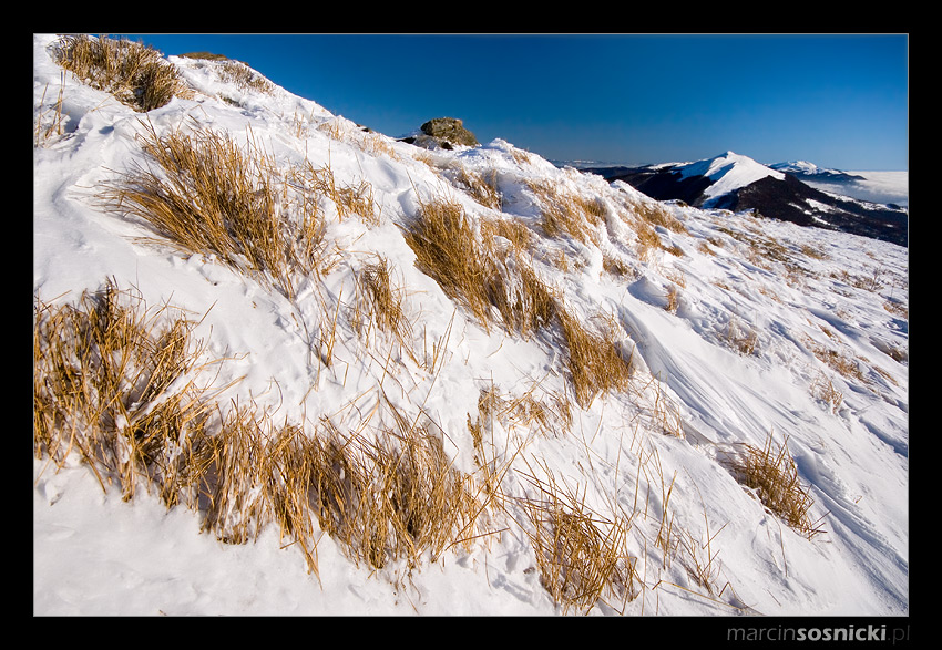 Bieszczady