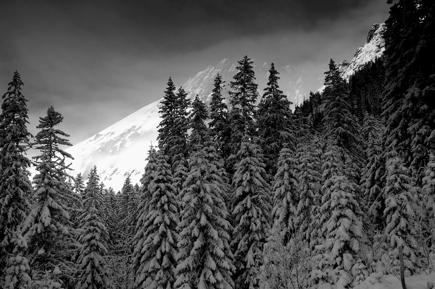 Tatry - zima 2008