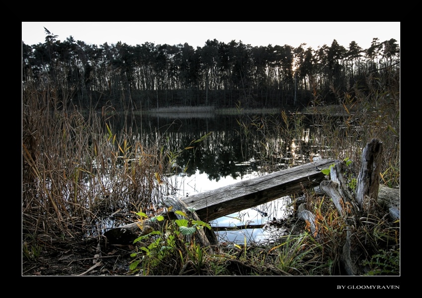 ~ Ławeczka ~