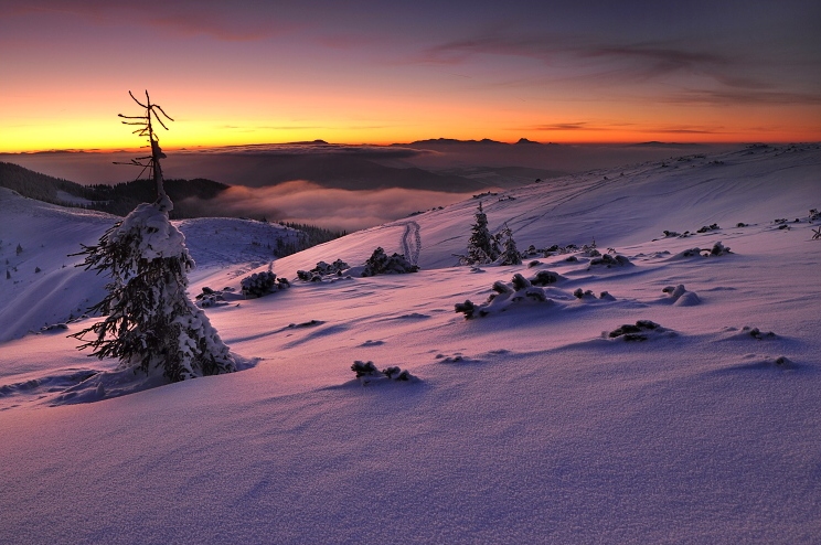 Tatry