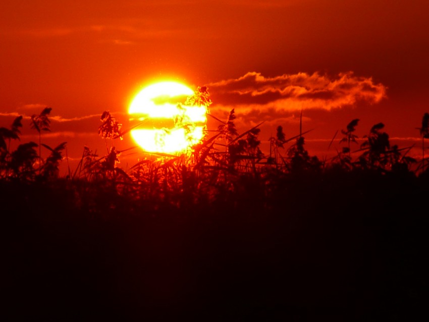 mazury